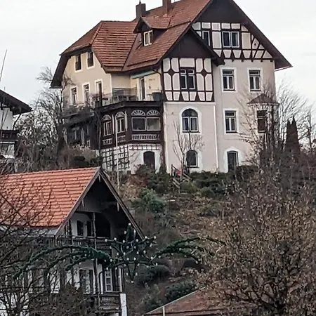 Steinmetz