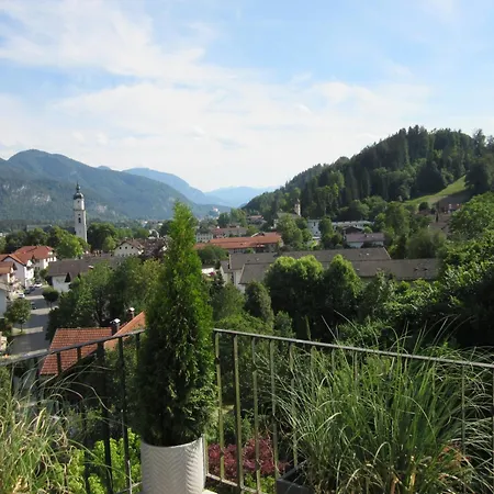 Steinmetz Apartment