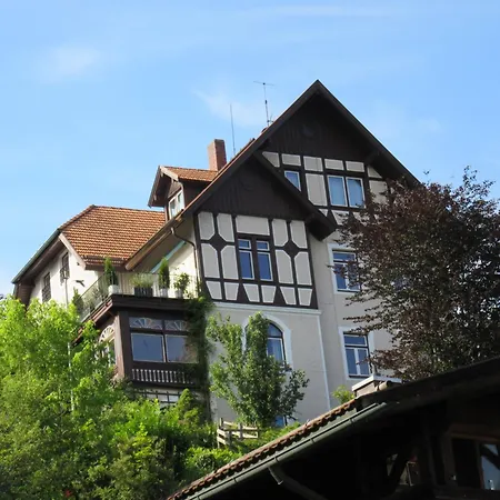 Steinmetz